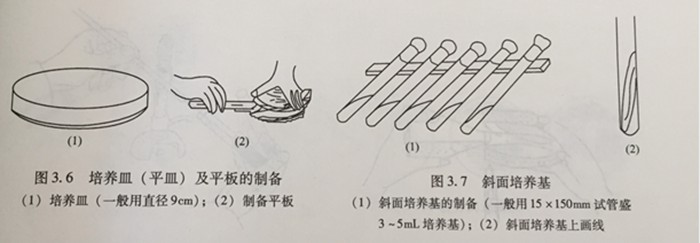 培養(yǎng)皿